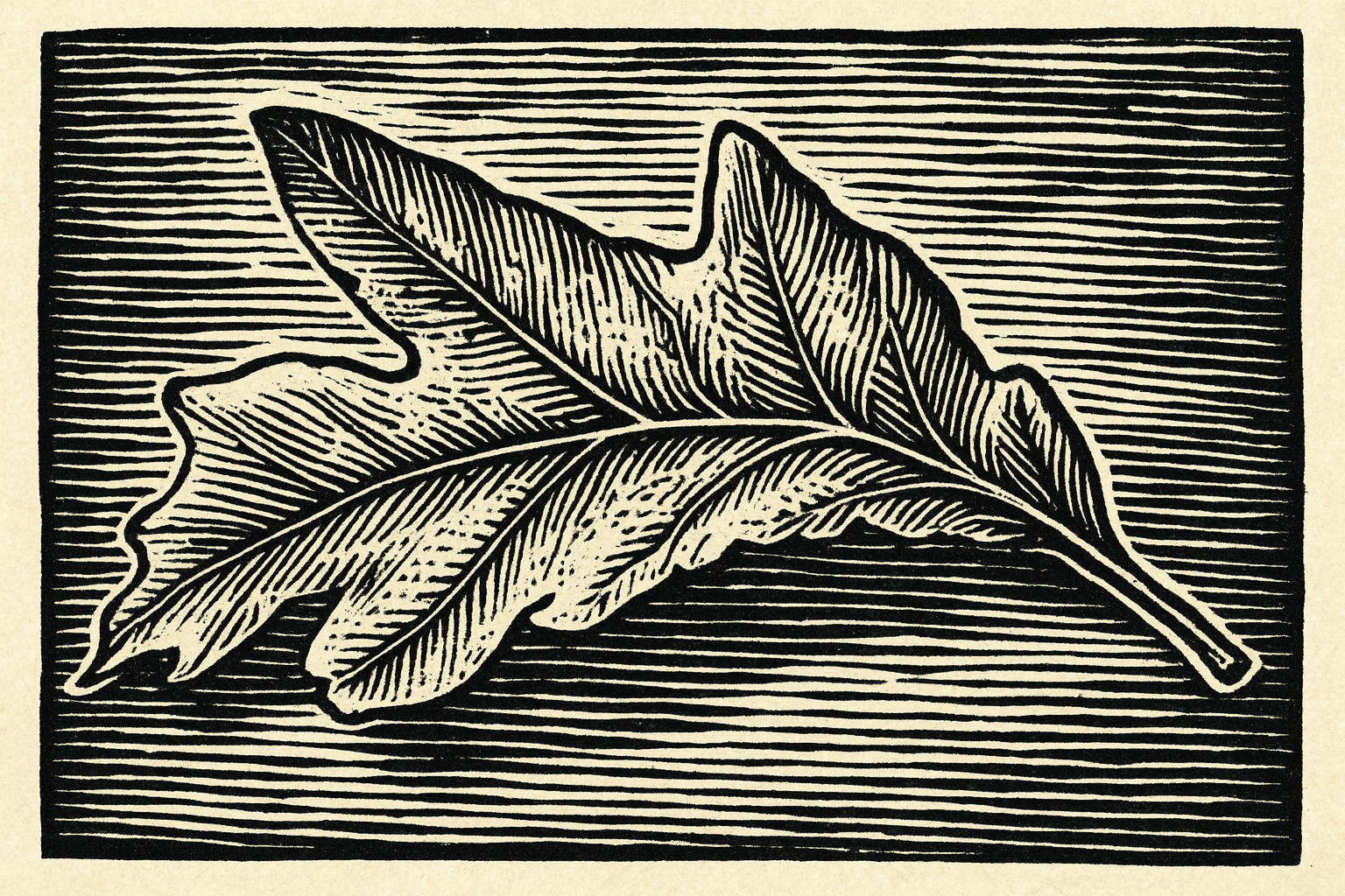 David Bignell Sculptor